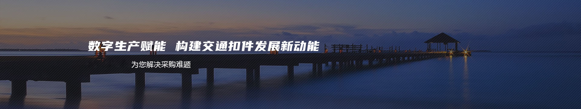 宁波大天数码科技有限公司banner